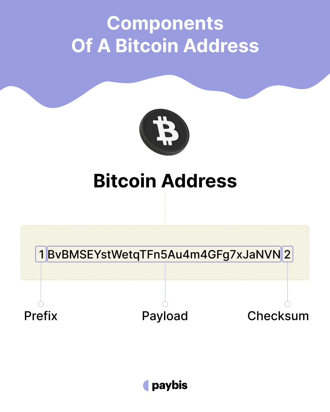 Structure of a Bitcoin Public Address