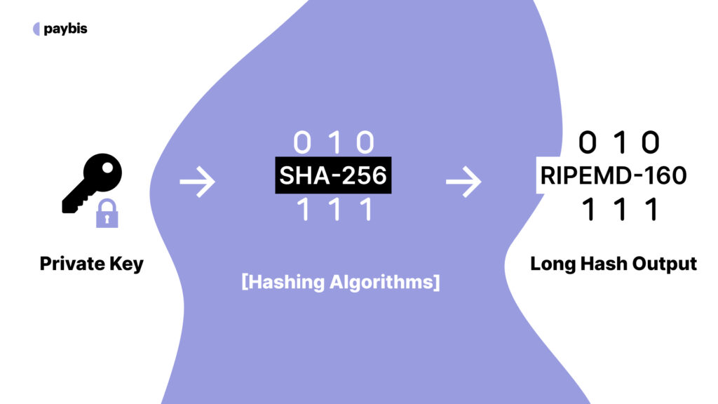 Hashing Processes (SHA-256 & RIPEMD-160)