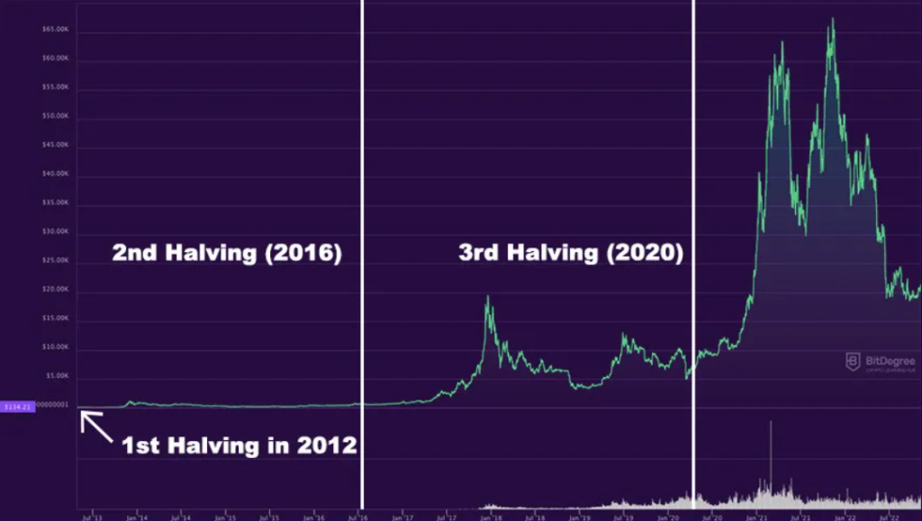 Bitcoin halving and price relations