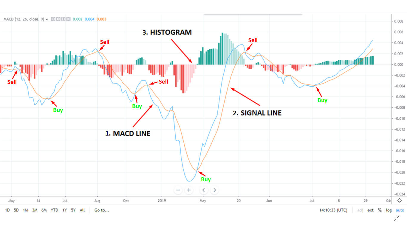 How To Read Crypto Charts And Candles The Noobies Guide