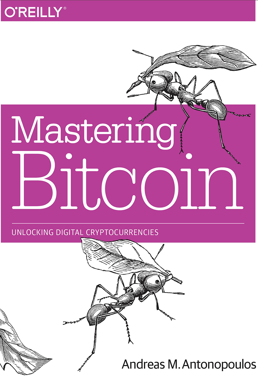 mastering bitcoin book