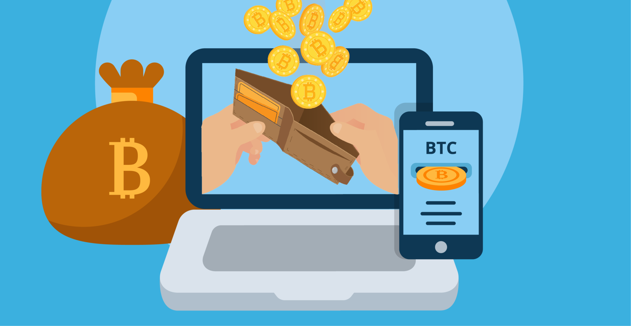 12 Best Bitcoin Wallets to Store Your Coins Safely - Paybis Blog