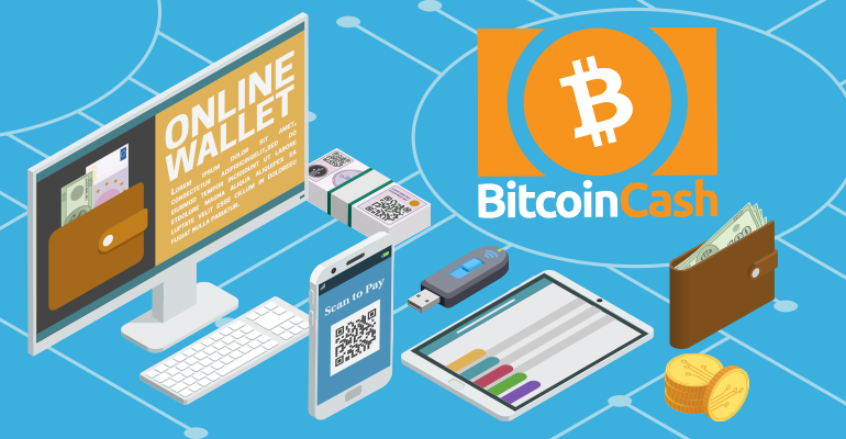 14 Best Bitcoin Cash Wallet for 2024 – Paybis Analysis