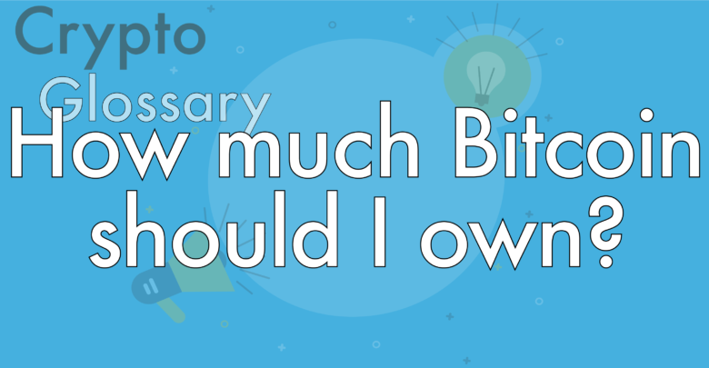 how much bitcoin should you own