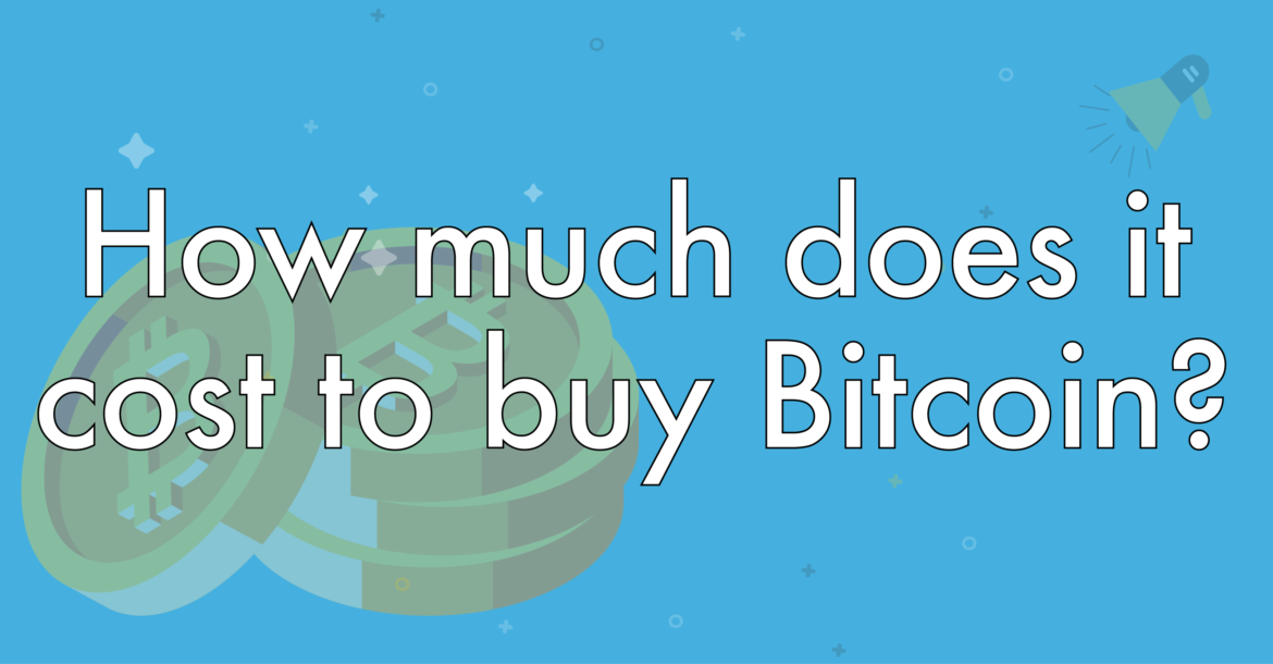 buy one bitcoin and forget about it