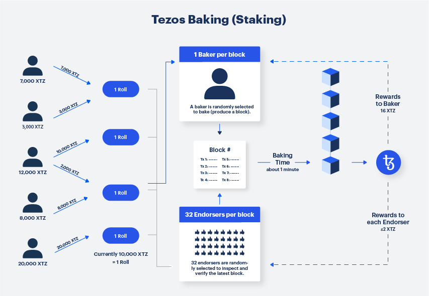tezos baking (staking) infographic