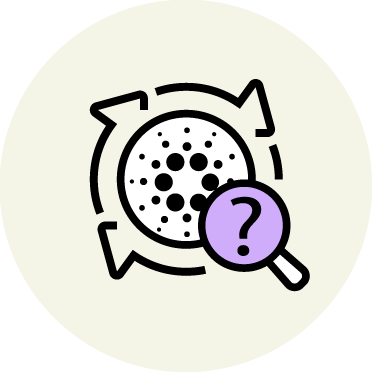 what is Cardano