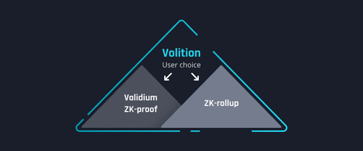 What is the Volition Model