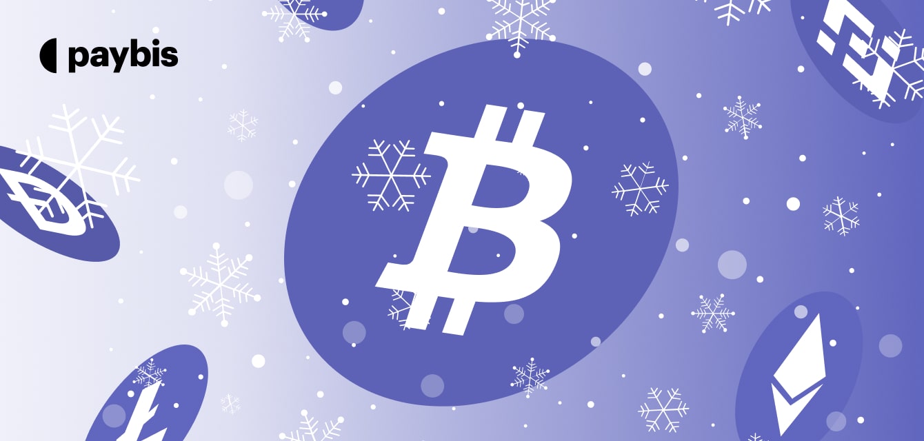 what is a crypto winter