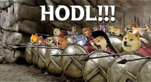 HODL meme