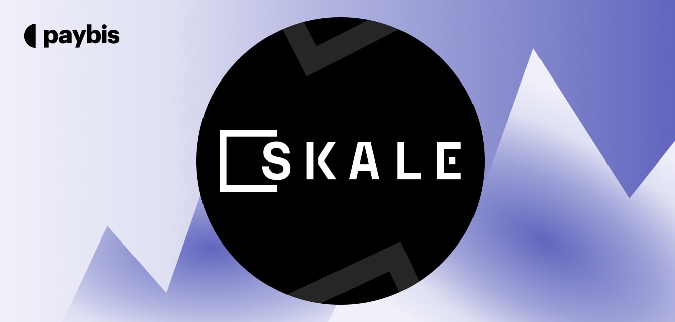 SKALE Network Price Prediction for the Next Decade