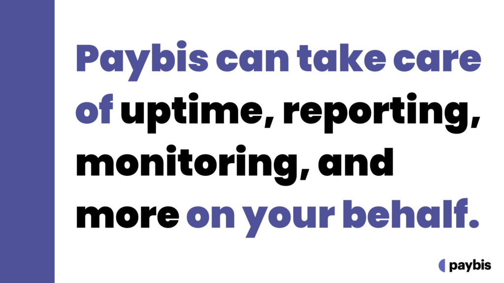 Paybis can take care of uptime, reporting, monitoring, and more on your behalf