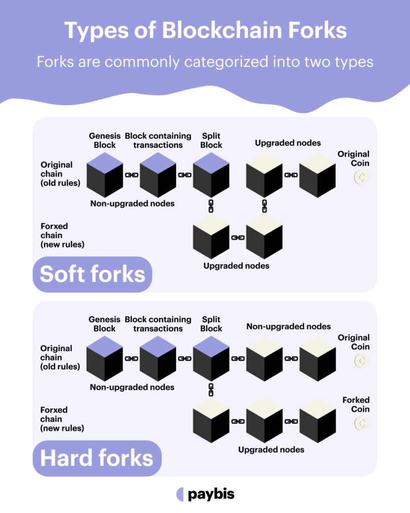 Hard Fork vs Soft Fork