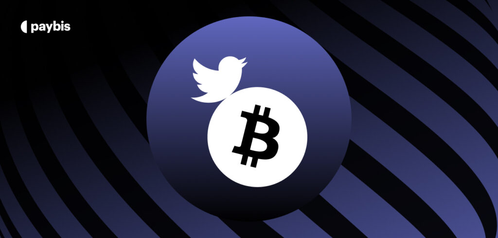 best crypto twitter accounts