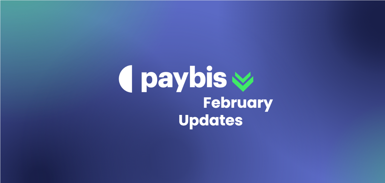 Paybis February Highlights: Key Stats, Activities, and Updates