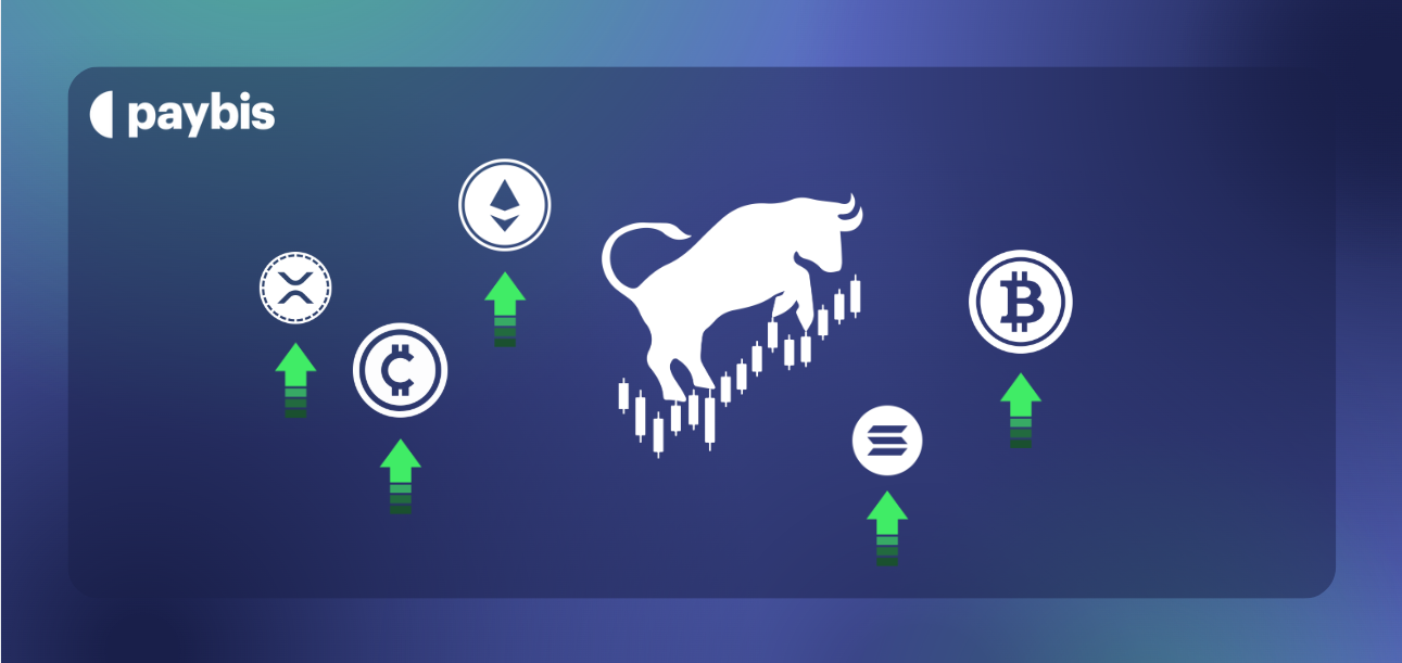 Bull Market