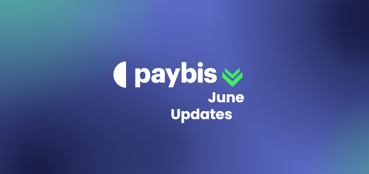 What You Might Have Missed: Paybis June Update