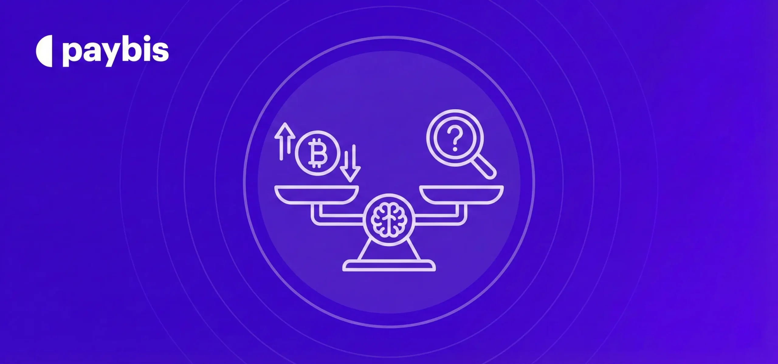 BitPay or Paybis: Which is Right for First Exchange?