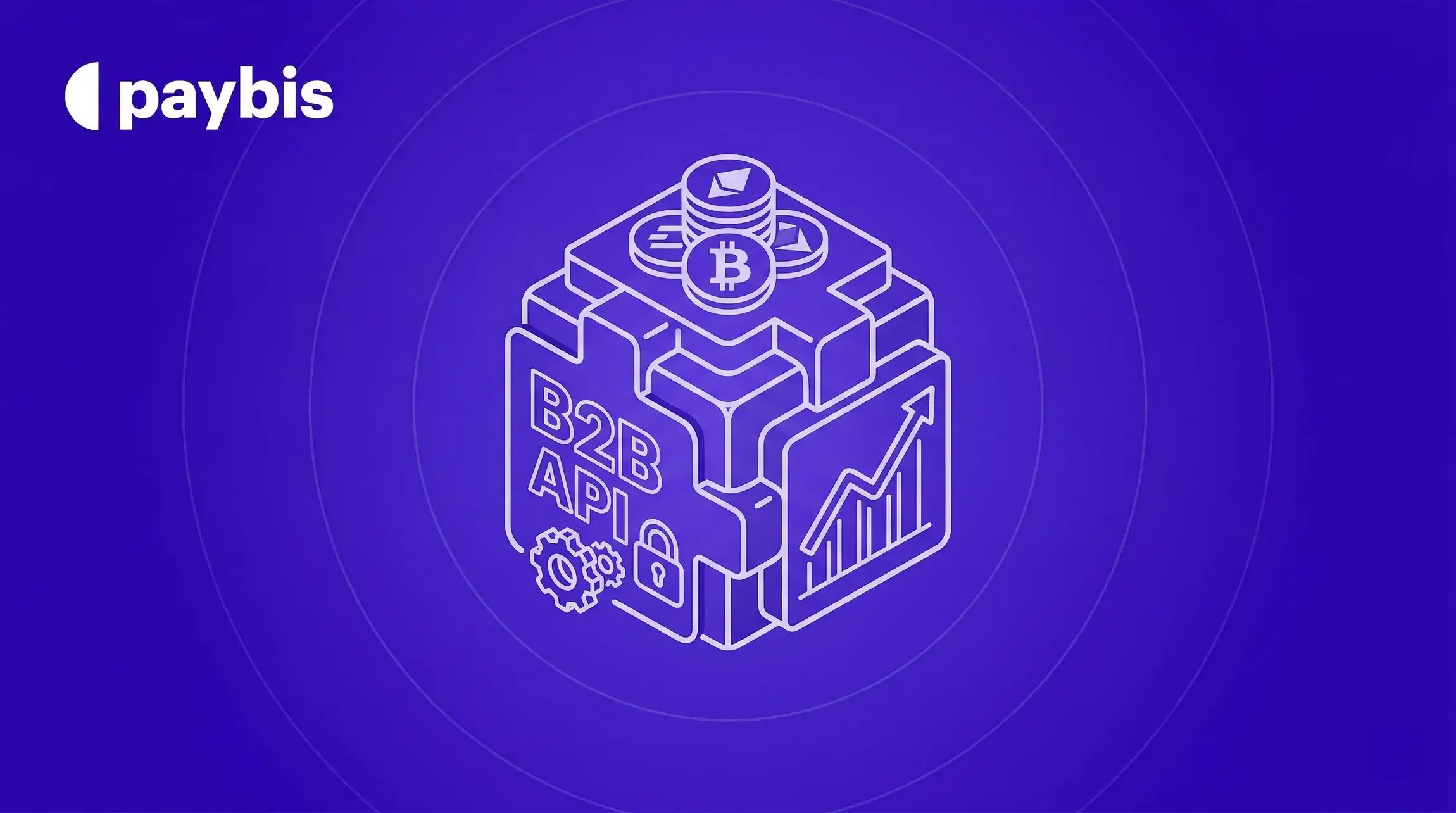 What’s On-Chain: Q1 2026 Product Updates for Paybis Partners