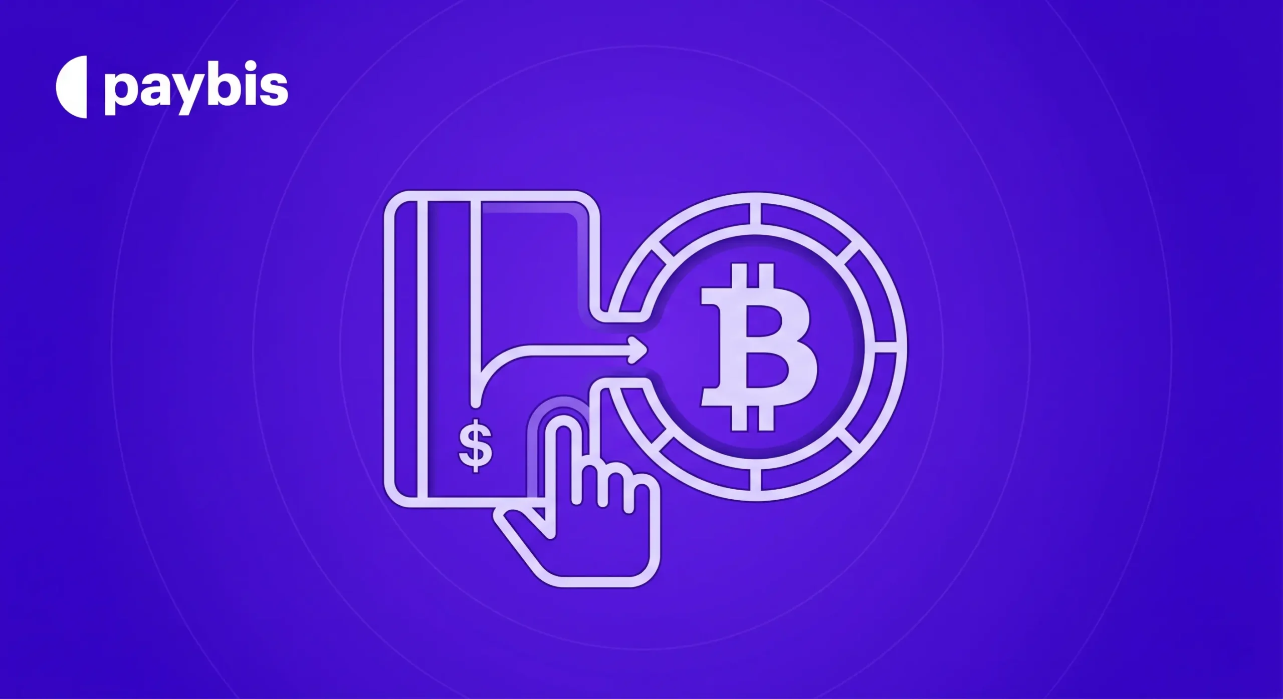 Simple Kraken Alternatives for EU: Buy Crypto with Euro & SEPA, No Jargon