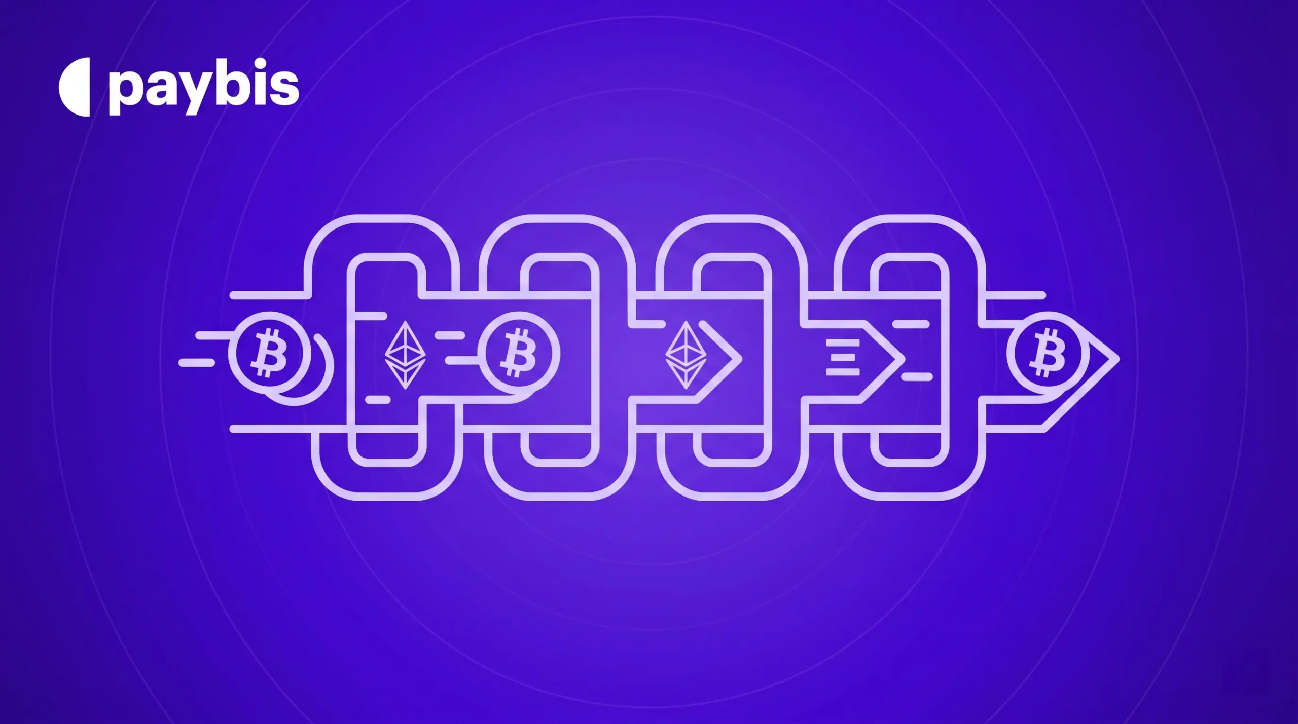 How to Switch from Kraken to Paybis in 4 Steps (2026)