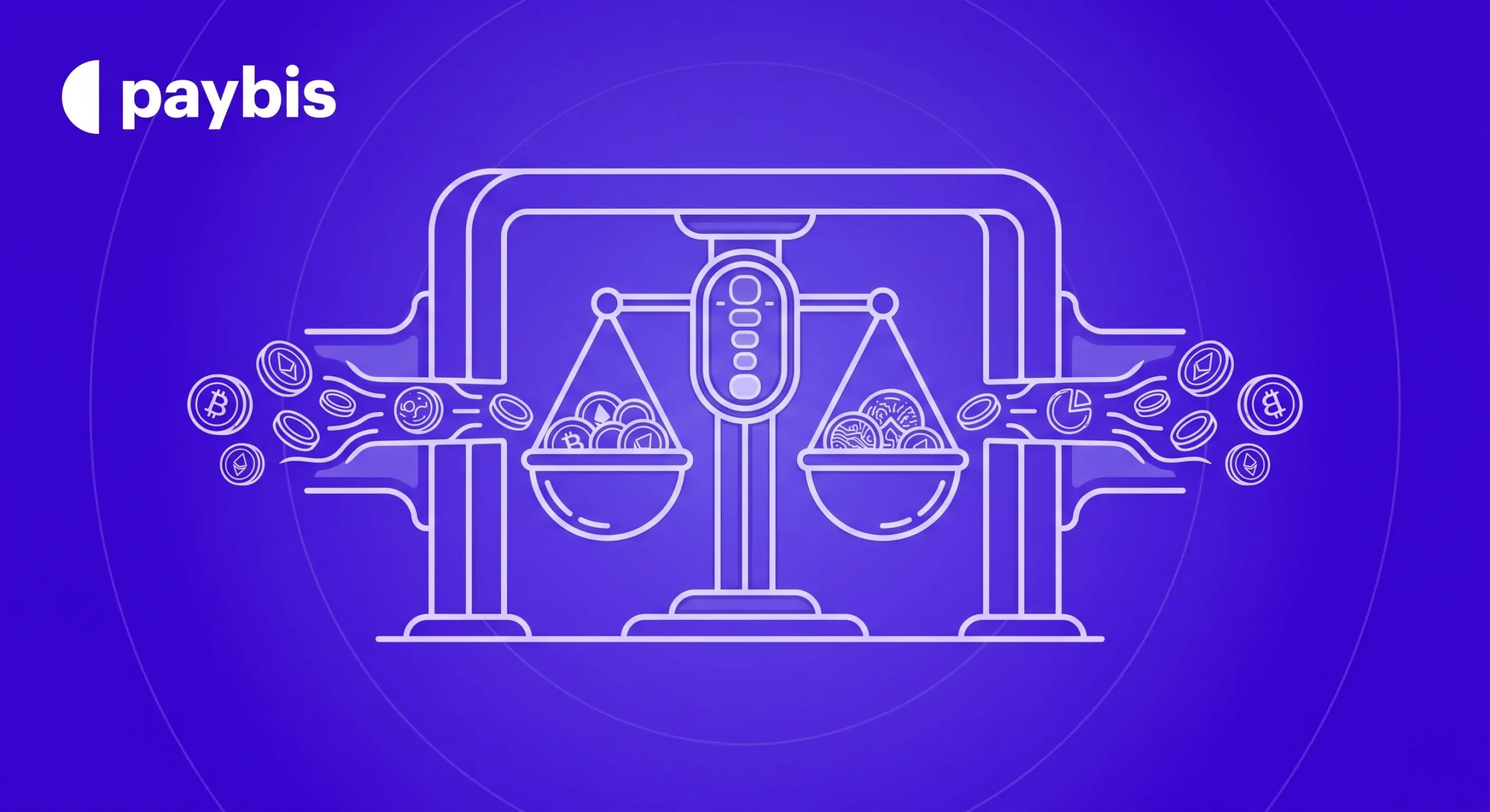 Kraken Fees vs. Paybis: See the Exact Cost Before You Buy