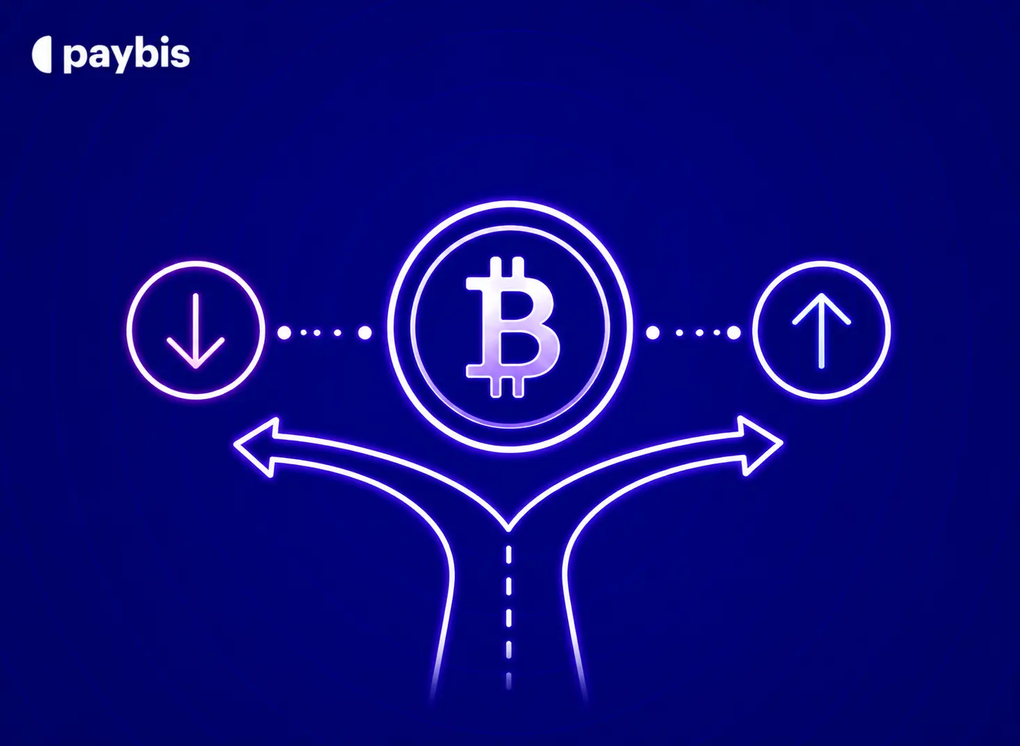Should I Sell My Bitcoin? An Advice-Free Framework for Long-Term Holders